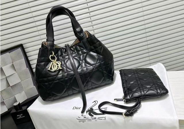 DlOR Handbags 069